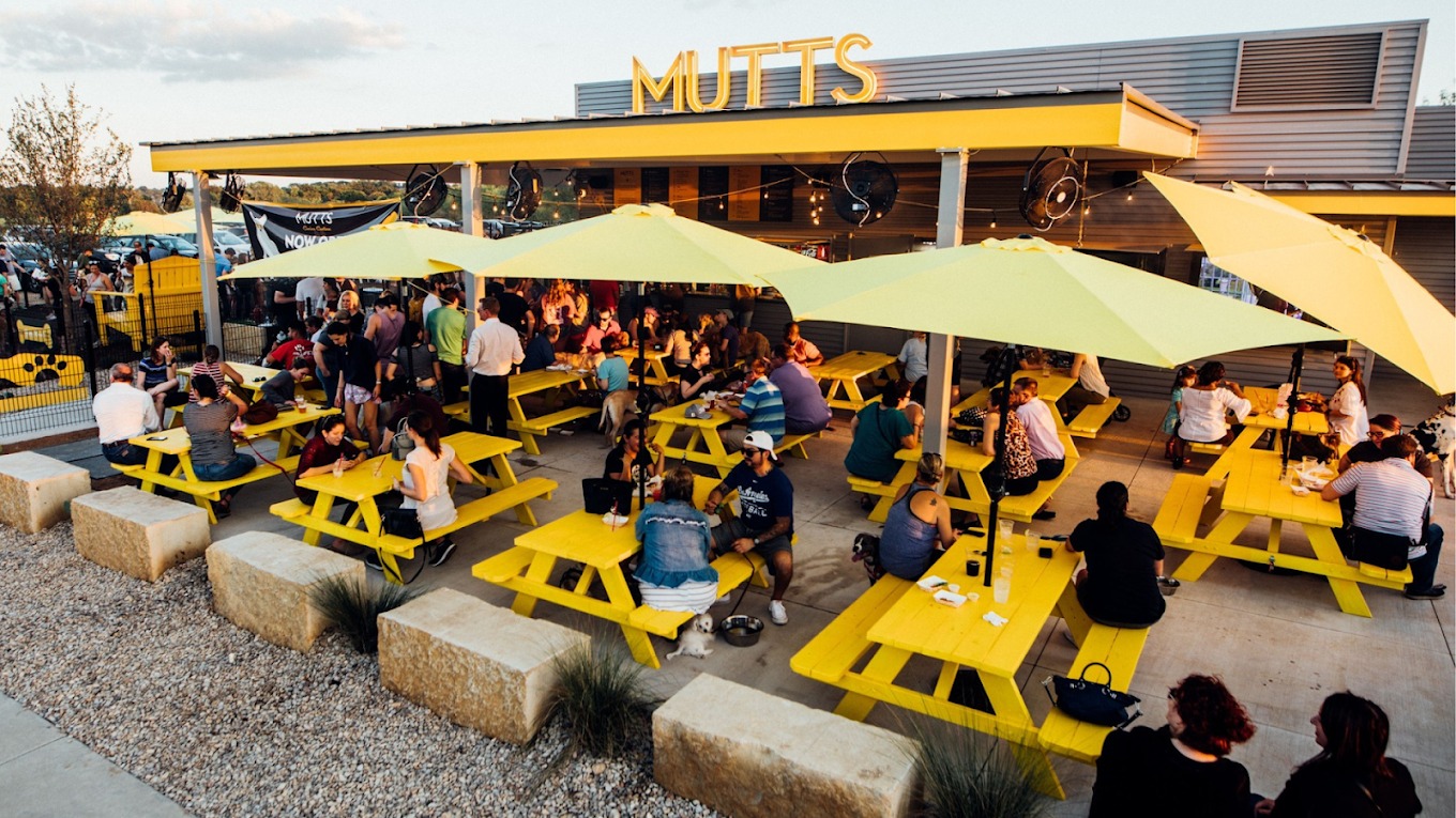 austin s mutts canine cantina